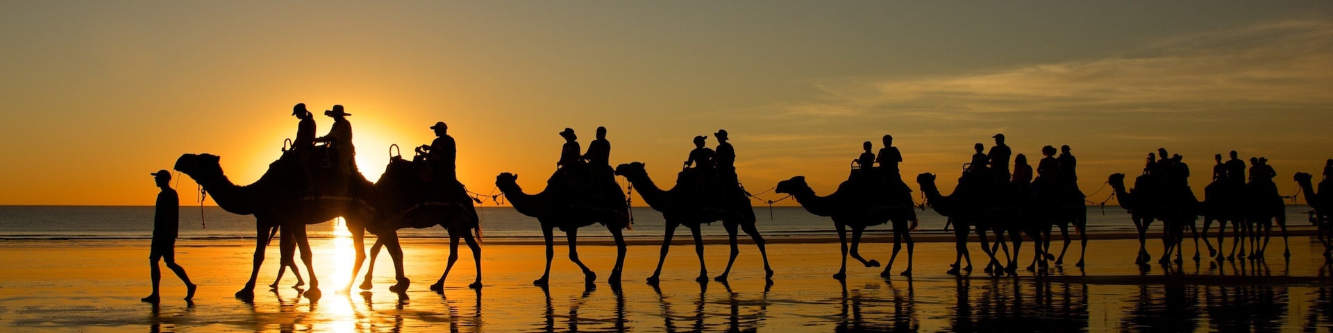 Cable Beach showing land animals, a sunset and landscape views