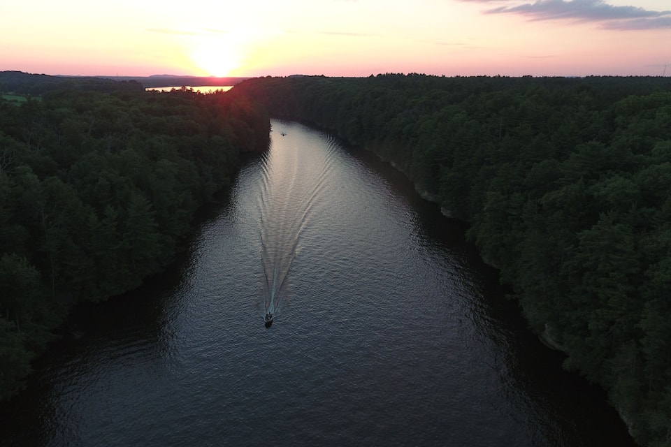 Un río bordeado por densos bosques, con una embarcación dejando un rastro en el agua.