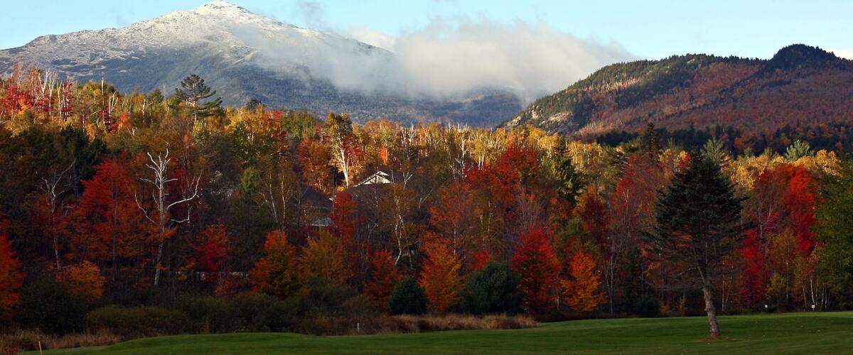 A mountain with a snow-capped peak, autumn-colored trees, and a grassy field.