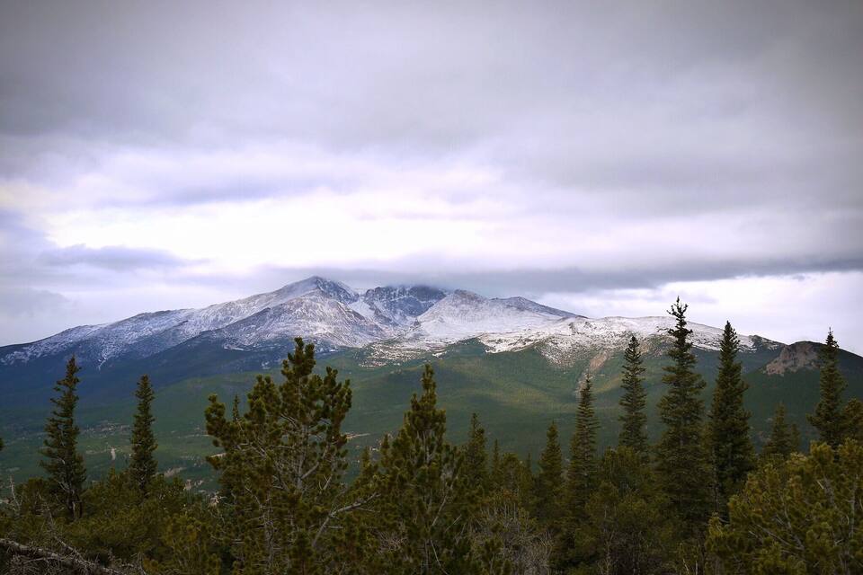 A mountain range with snow-capped peaks and dense coniferous forest in the foreground.