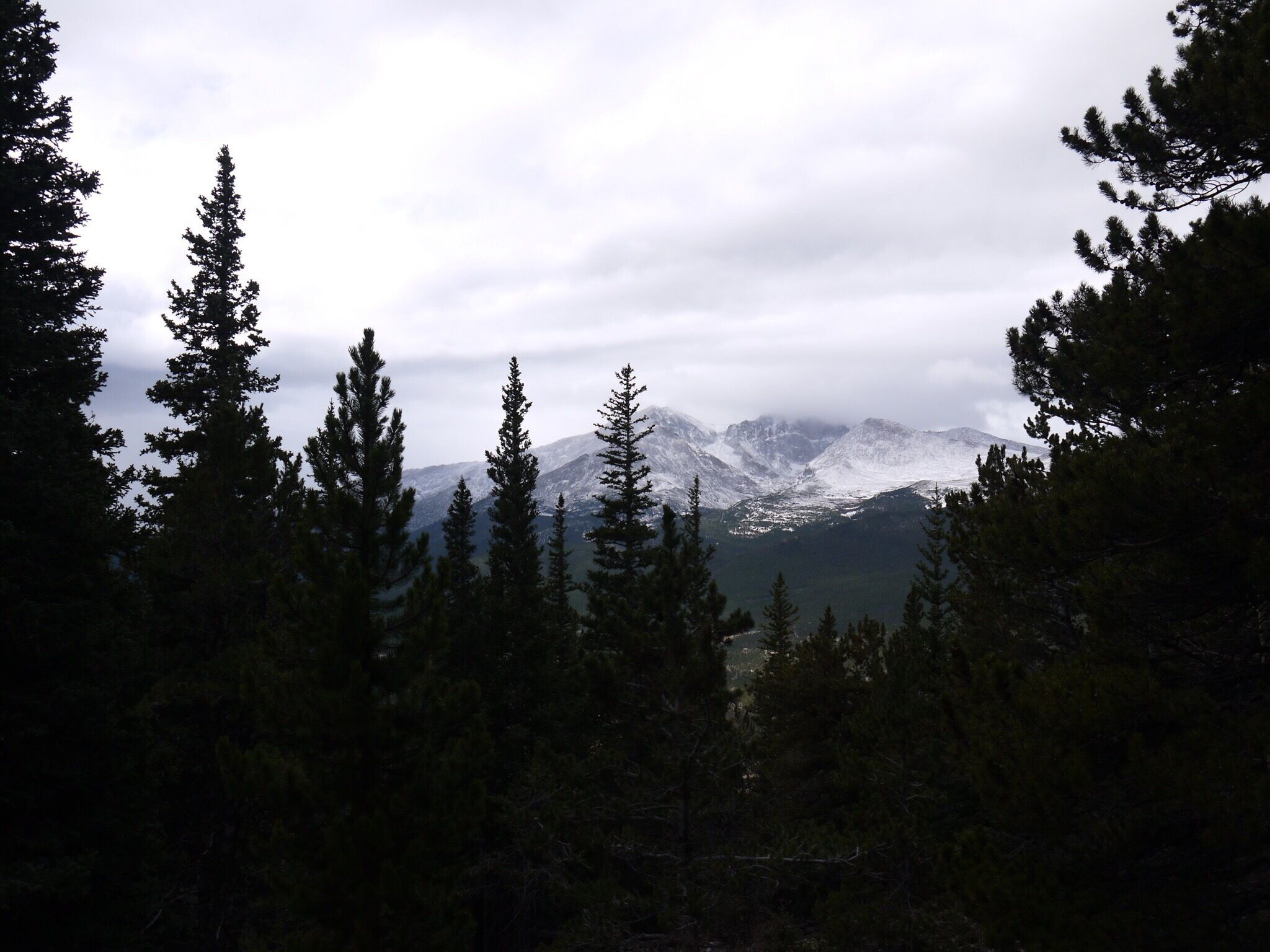 View from Twin Sisters Peak Trail
