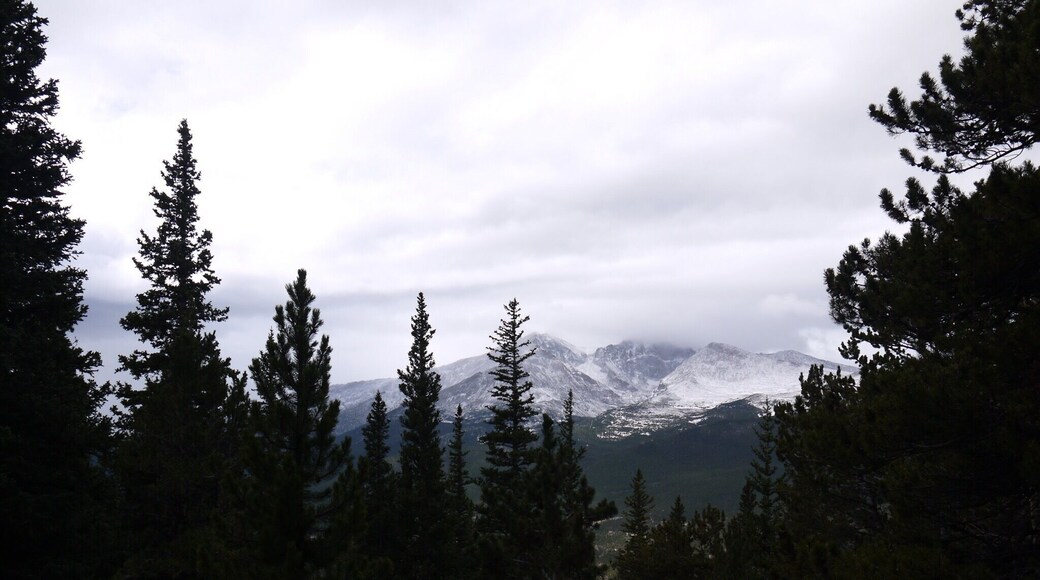 View from Twin Sisters Peak Trail