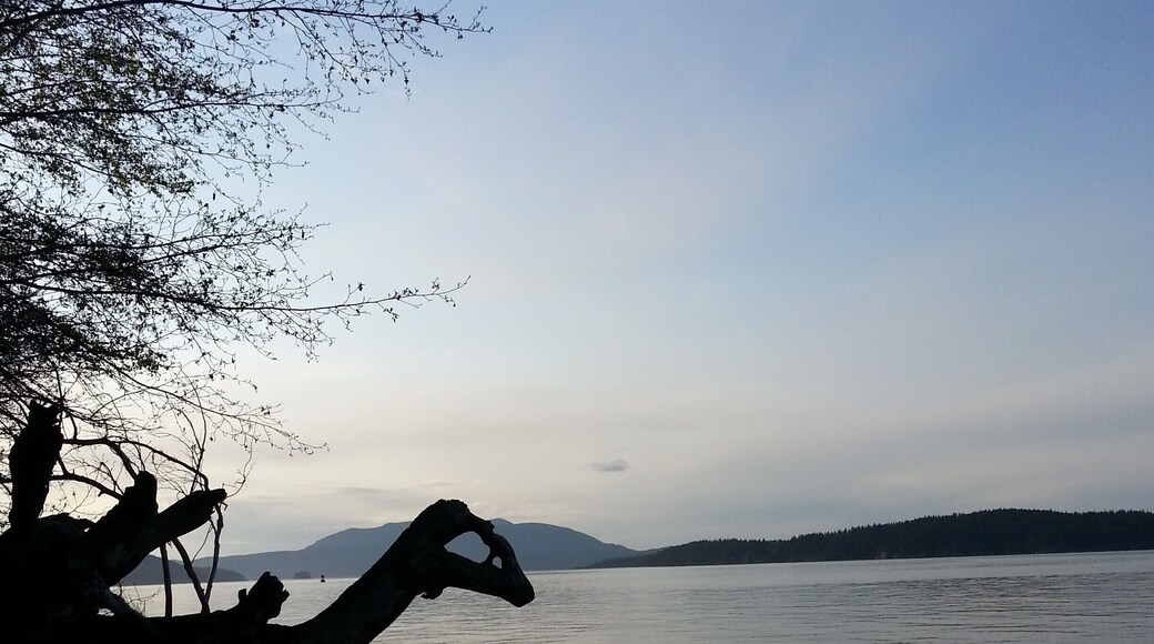 Sea Monster or driftwood on the beach?
#LifeAtExpedia