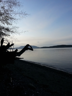 Sea Monster or driftwood on the beach?
#LifeAtExpedia