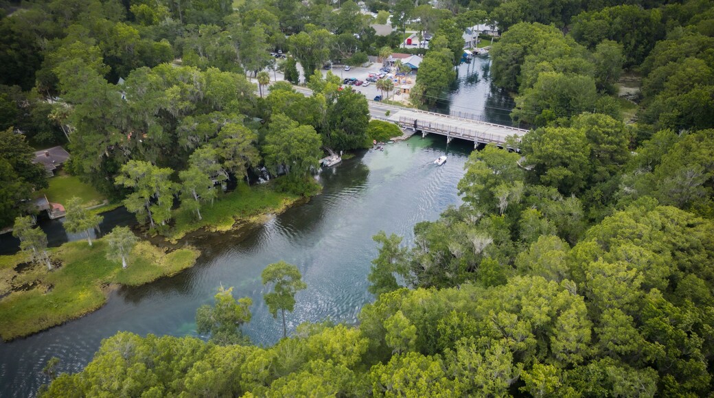 Aerial view of lush forest and tranquil river with a scenic bridge, outskirts of Rainbow River, Dunnellon, Florida, United States.