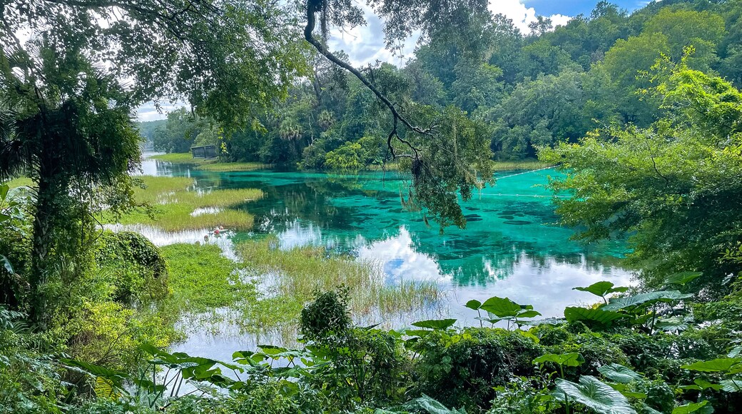 Rainy day at Rainbow Springs State Park in Florida