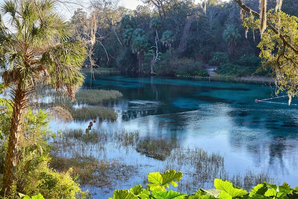 View of the Rainbow River at Rainbow Springs State Park near Dunnellon, Florida