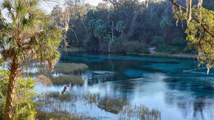 แม่น้ำเรนโบว์