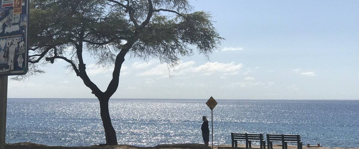 There is a nice small beach near the station you can play in the surf with (watch the rocks of course). Beyond this about a block out to sea is some amazing scuba sights where the fish gather when the warm outflow from the plant is high.