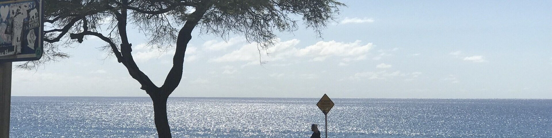 There is a nice small beach near the station you can play in the surf with (watch the rocks of course). Beyond this about a block out to sea is some amazing scuba sights where the fish gather when the warm outflow from the plant is high.
