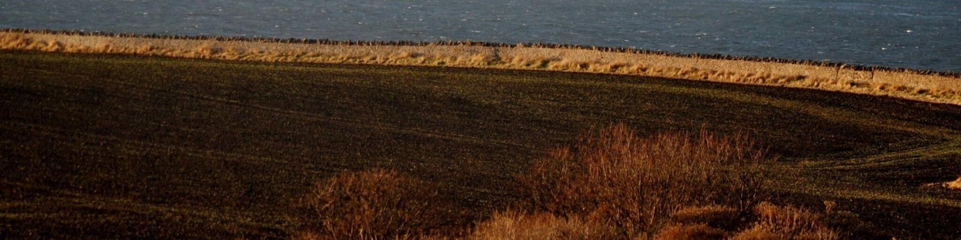 Craigleith.
Another of the islands in the Firth of Forth, famous for its puffin breeding colonies.