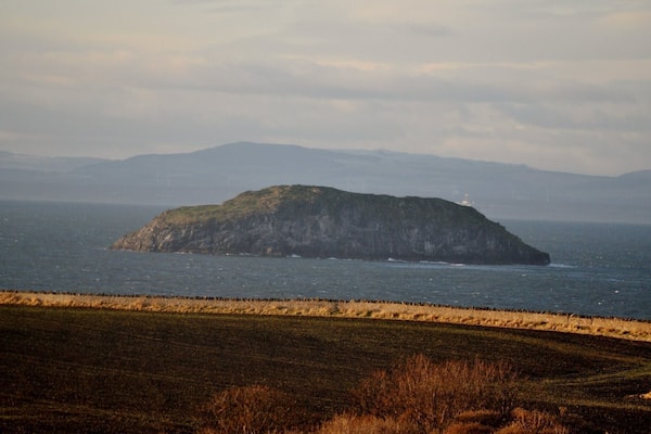 Craigleith.
Another of the islands in the Firth of Forth, famous for its puffin breeding colonies.