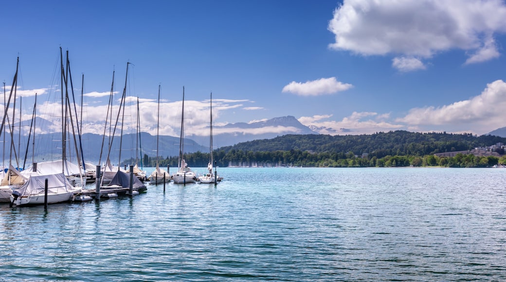 Yacht on a mountain lake in the Swiss Alps