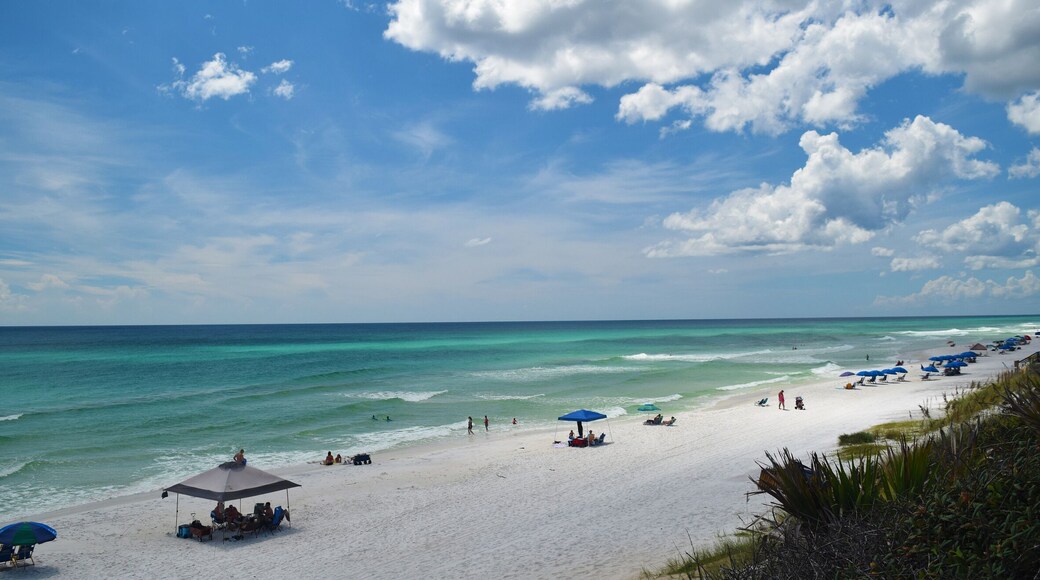 500px Photo ID: 170153661 - Bright sun, blue skies, a few clouds, and green water.
