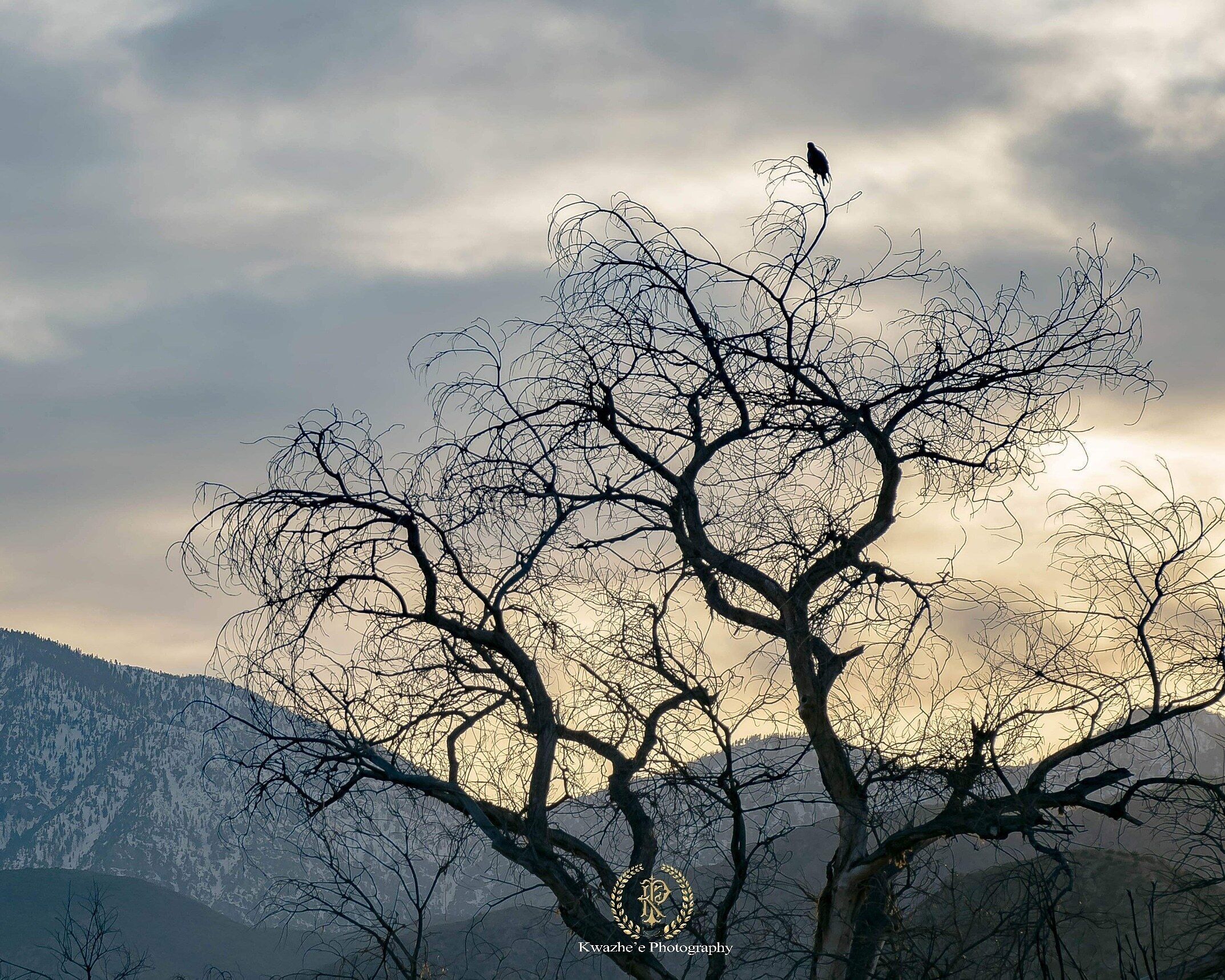 2020 of Jan 24 - my fiancé noticed the hawk and told me looks at. I told him to stop the car. Took a picture of, but still beautiful view. ❤🦅