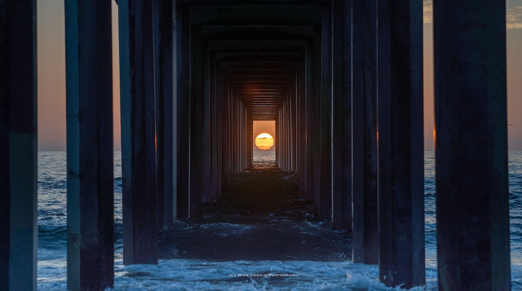 Bãi biển La Jolla