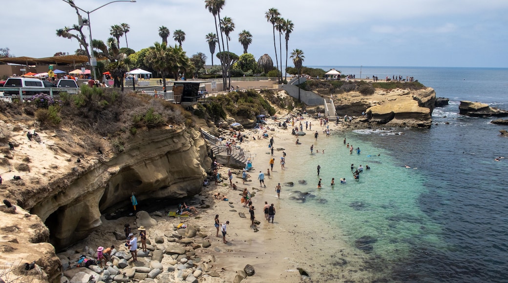 Bãi biển La Jolla