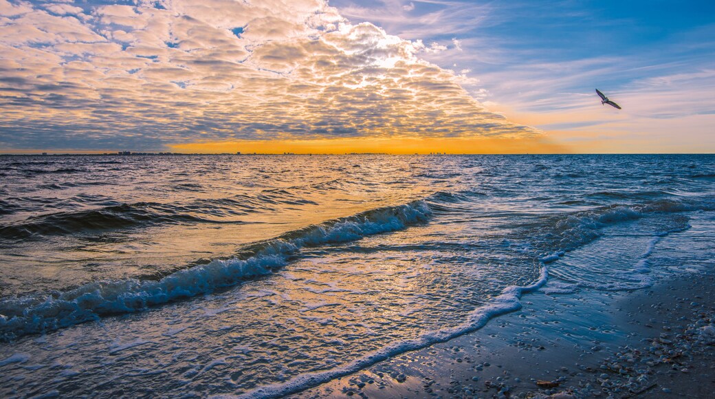 薩尼貝爾島南部海灘