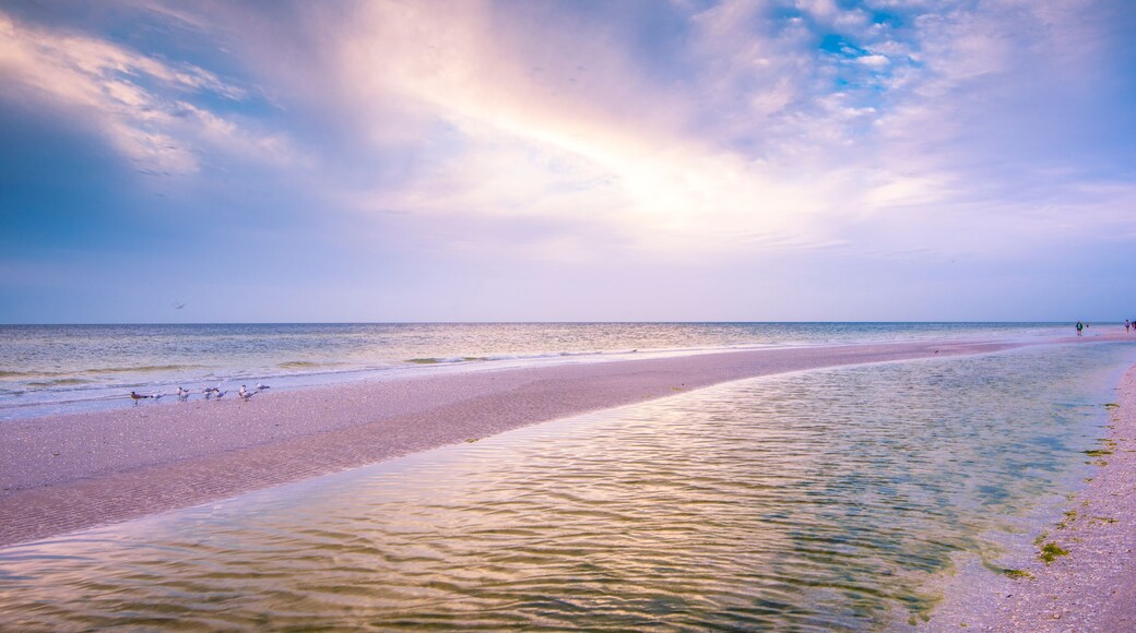 薩尼貝爾島南部海灘