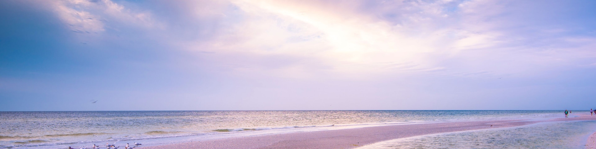 Morning Show At Sanibel Island