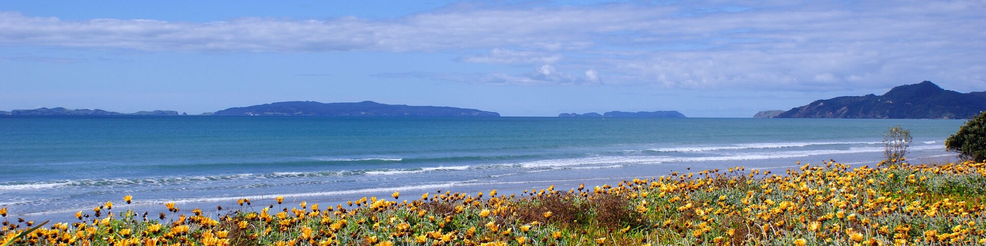 Matarangi Beach, Coromandel, New Zealand
