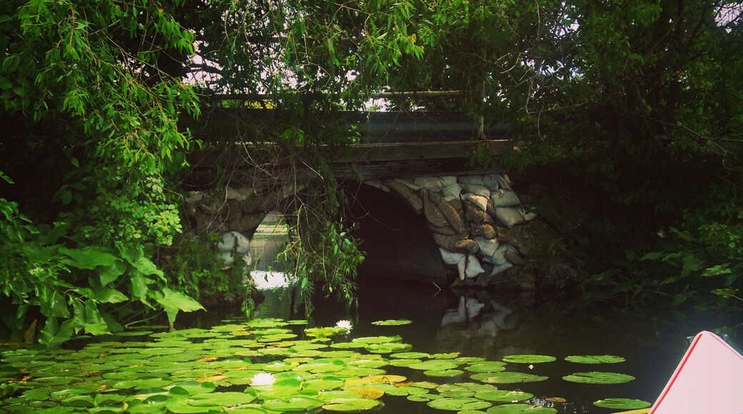 Kayaking with the littles!!! Exploring new places!
#travel #travelblogger #littles #familytravelblogger #diagnosiswanderlust #wanderlust #waterlust #summer #summerbucketlist #kayaking #kayakingwithkids #michigan #puremichigan #lakegirls #greatlakesgirl #funwithkids #adventure #experiencesnotthings #neverstopexploring