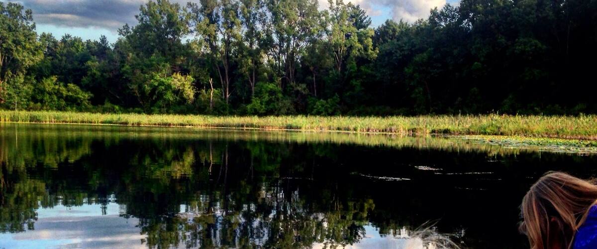 A calm lake with reflections of trees and sky, surrounded by a dense forest.