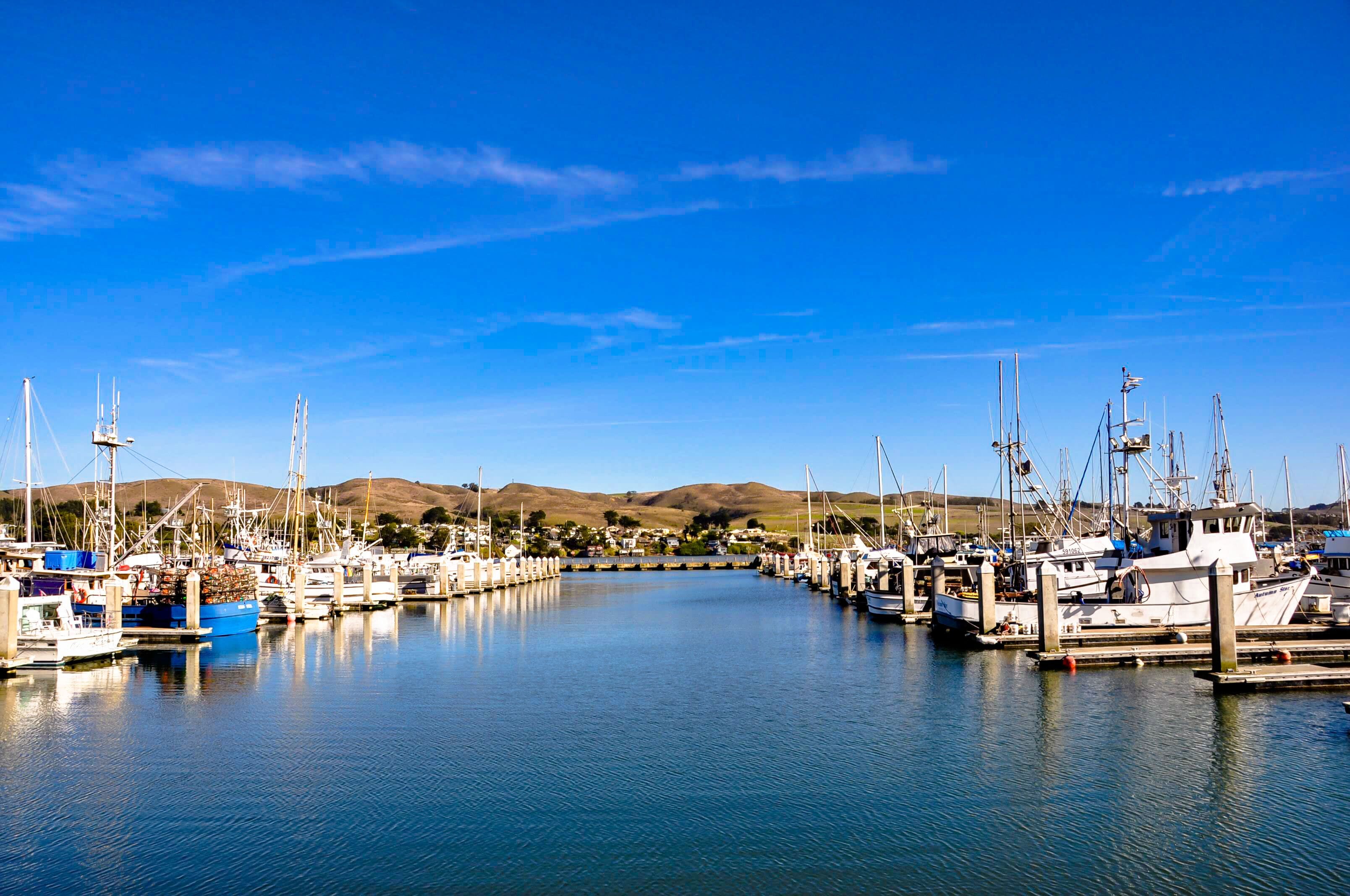 Bodega Bay, CA Harbor
