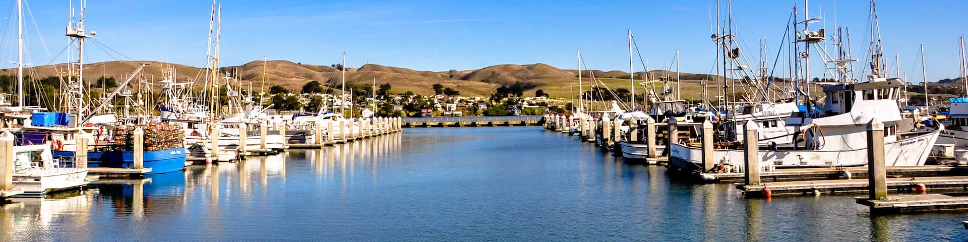 Bodega Bay, CA Harbor