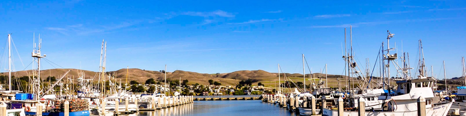 Bodega Bay, CA Harbor