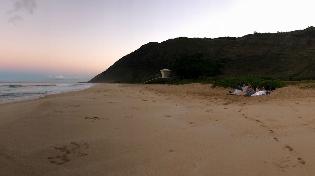 Met these guys on an app and camped with them the next day. Some snuggles and kisses on a cold night, with strawberry waffles in the morning. Cheers to strangers becoming friends.