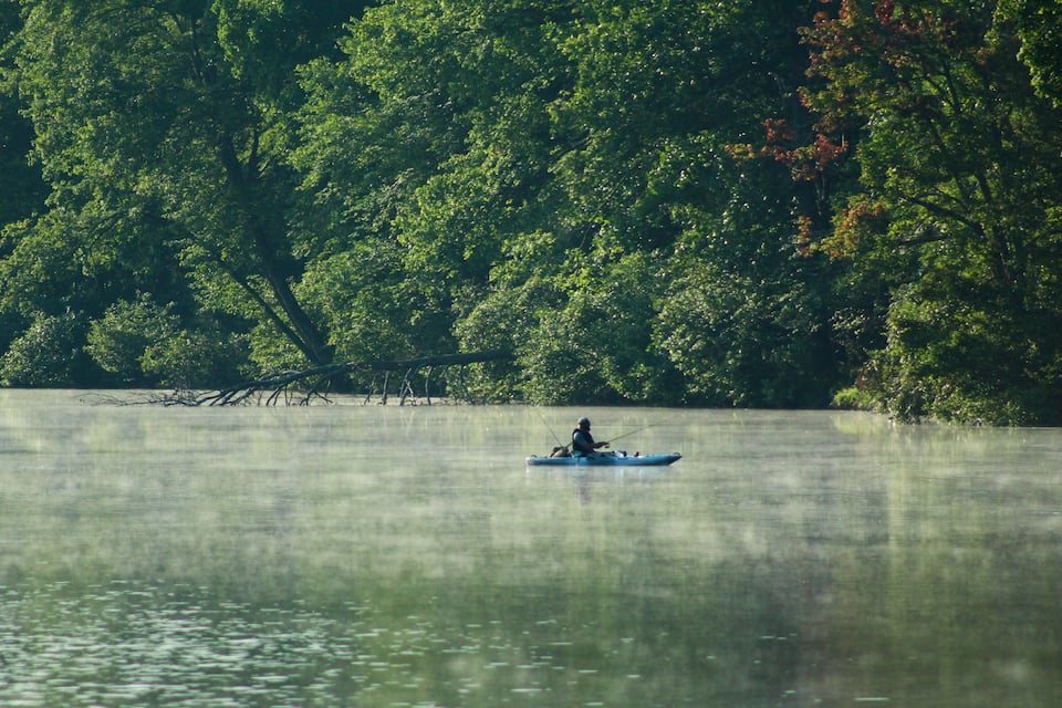 A calm lake with a person in a kayak surrounded by dense green foliage.