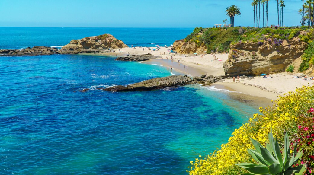 Treasure Island Beach in Laguna Beach, Orange County, California USA