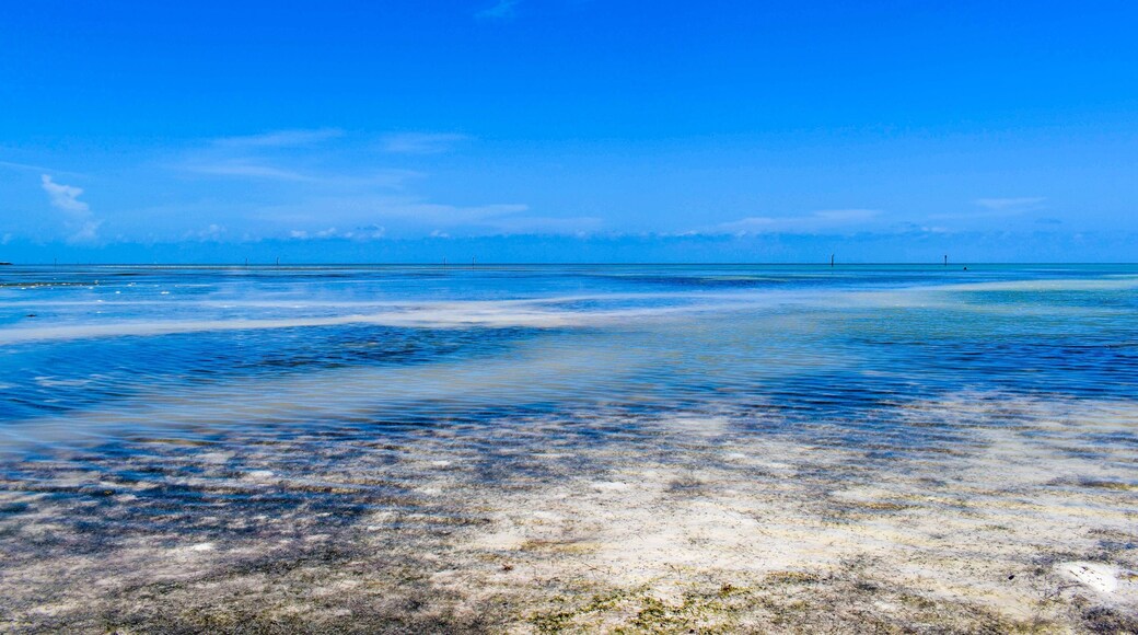 Lower Matecumbe Beach