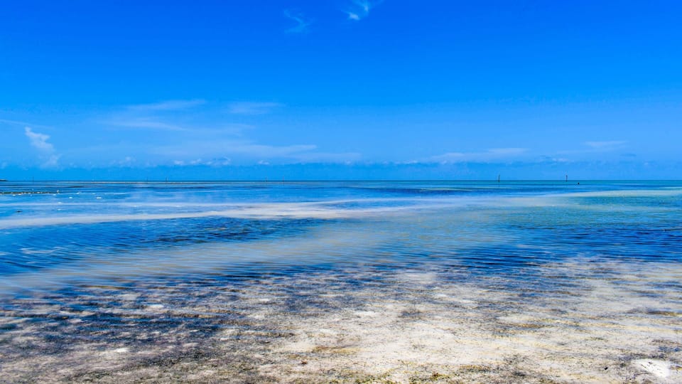 Anne’s beach is on Lower Matecumbe Key
