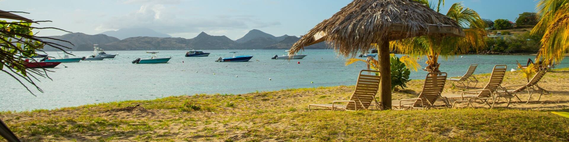 Oualie Beach showing tropical scenes and general coastal views