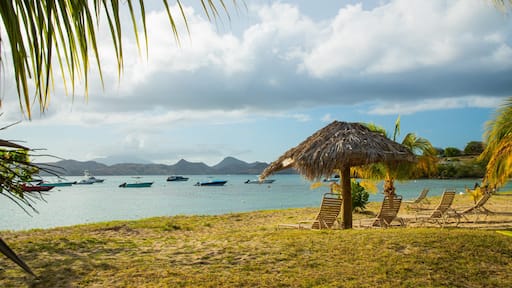 Oualie Beach showing tropical scenes and general coastal views