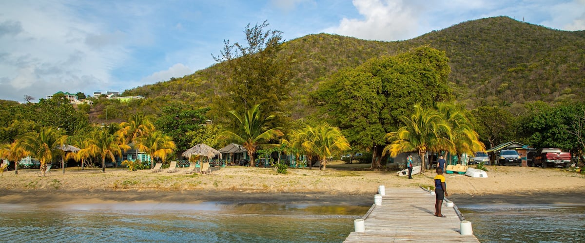 Oualie Beach featuring tropical scenes and general coastal views