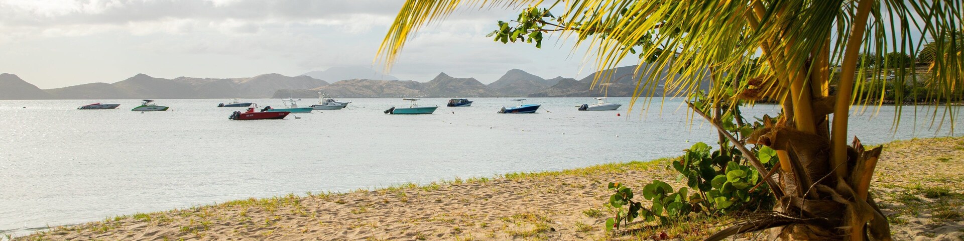 Oualie Beach featuring a sandy beach, tropical scenes and general coastal views