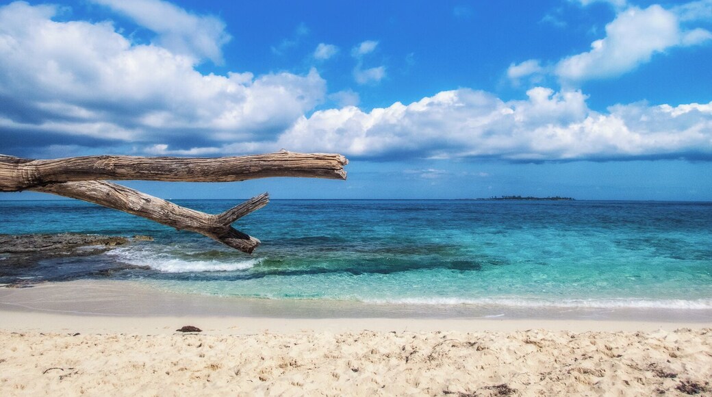 Along the beach at Rose Island in the Bahamas. Rose Island is an uninhabited island about a half hour by boat from Paradise Island, accessible via private boat or a tour/charter. I visited as part of a full-day excursion called Sandy Toes and it was a highlight of my stay in the Bahamas.