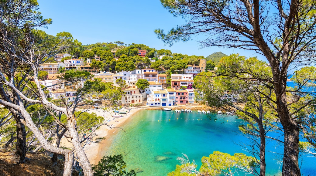 Platja de sa Tuna