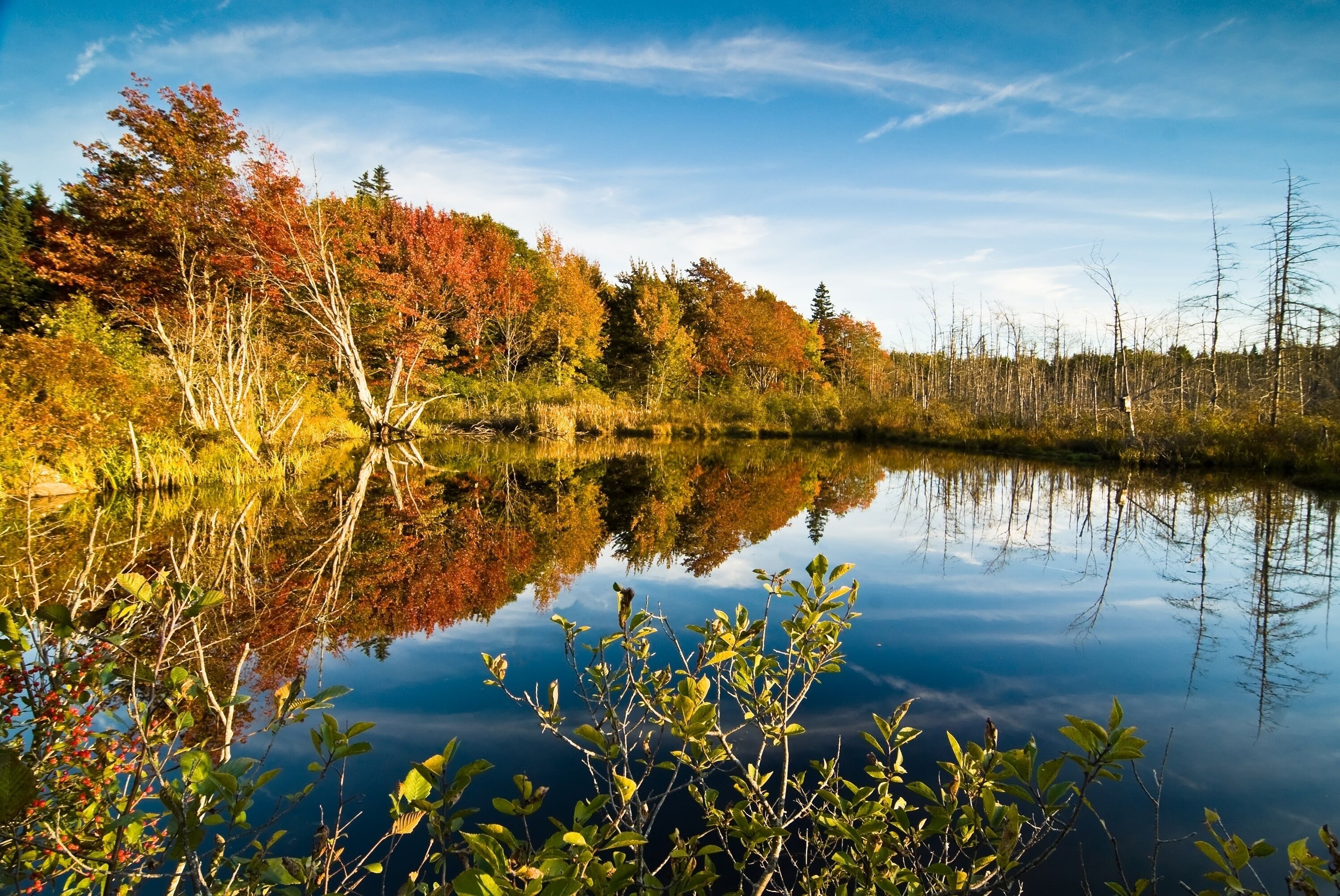 Lush fall foliage reflecting in a lake