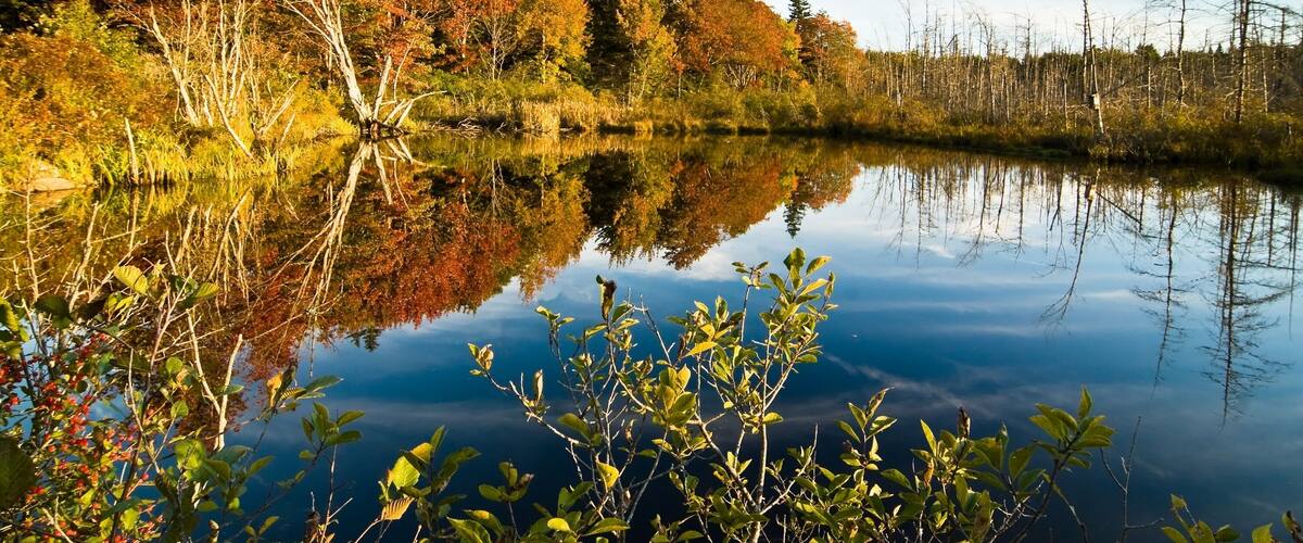 Lush fall foliage reflecting in a lake