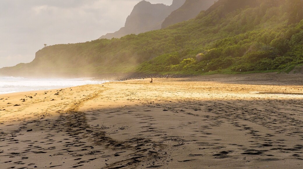 Kalalau Beach is a beautiful, secluded beach at the end of an 11 mile trail. The only access is by foot or kayak (in Summer). A permit is required for camping. One of the best hikes Iâve ever done.
#BeachTips