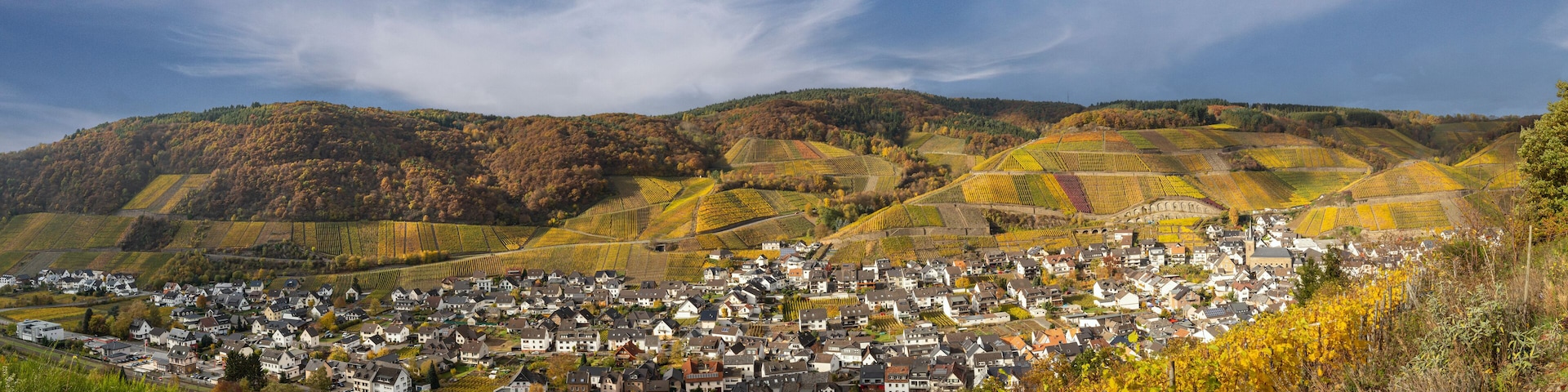 Panorama Dernau im Herbst