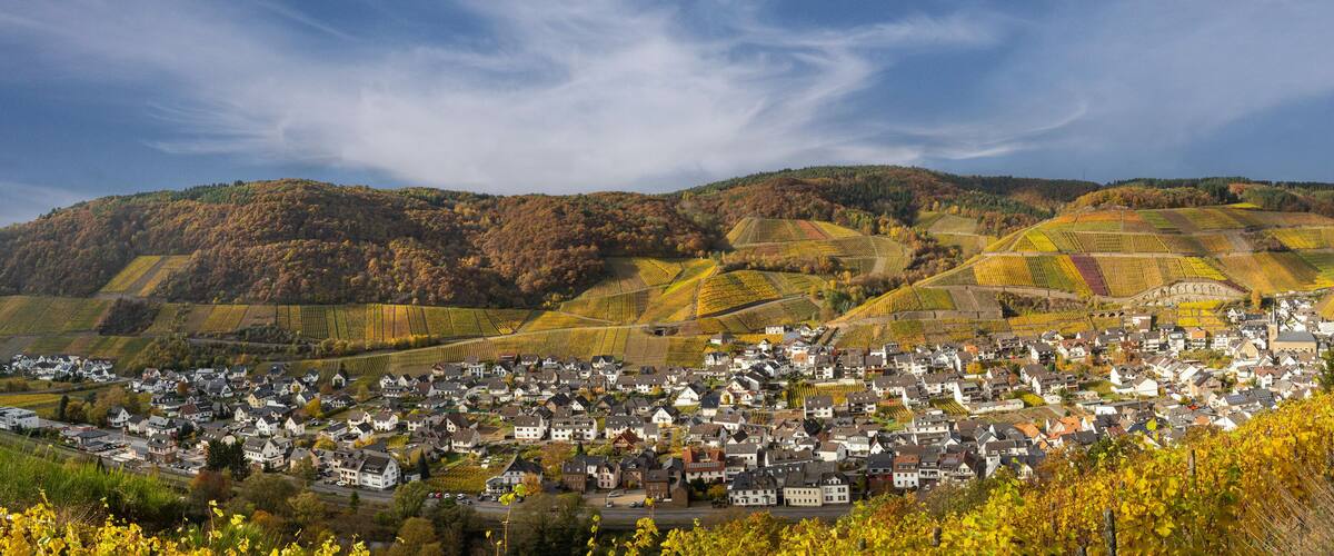 A town nestled in a valley with vineyards and rolling hills in the background.