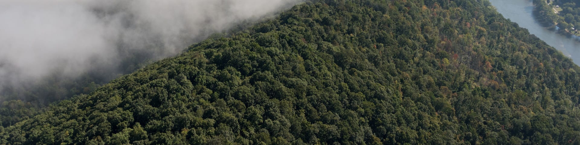 A mountainous landscape with dense forests and a river winding through the valleys.