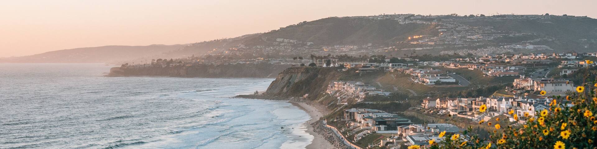 Yellow flowers and view of Strand Beach from Dana Point Headlands Conservation Area, in Dana Point, Orange County, California