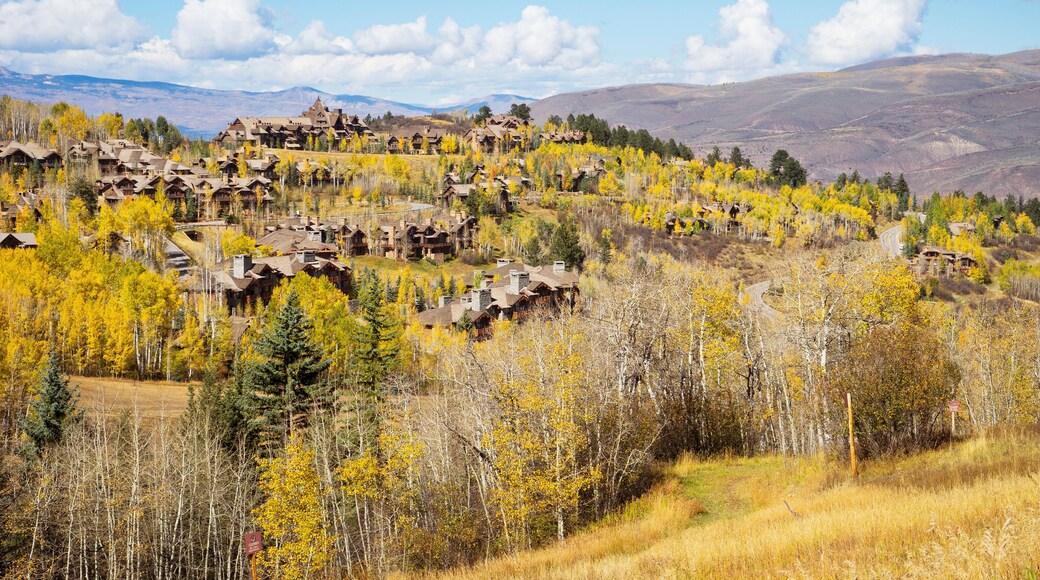 Residences on the mountain side of Bachelor Gulch with golden Fall foliage