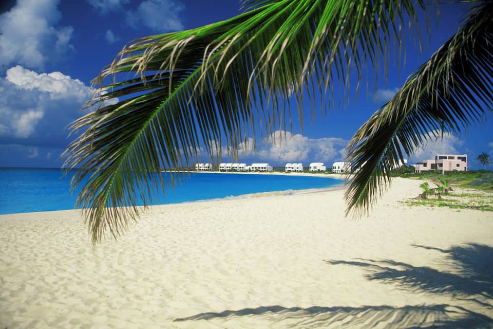 A beach with white sand, clear blue water, and palm trees.